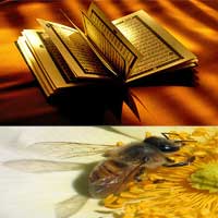 قرآن کریم و اثرات شفا بخشی عسل در درمان بيماريهاي جسمي