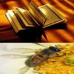 قرآن کریم و اثرات شفا بخشی عسل در درمان بيماريهاي جسمي