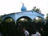 PICT0146.jpg