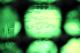 95010021.bmp